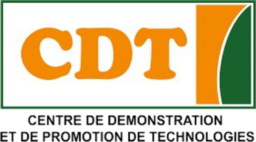 CDT
